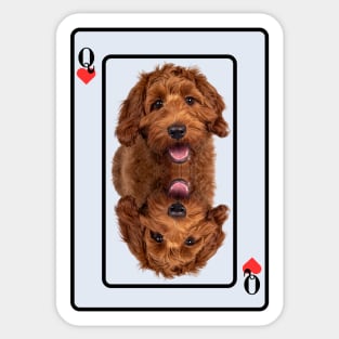 Labradoodle Sticker